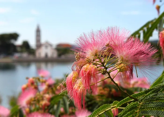 Διαμέρισμα By The Sea - 23463 Pašman